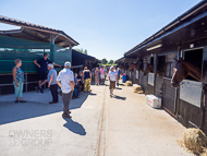 PN070822-160 - Paul Nicholls Stable Visit